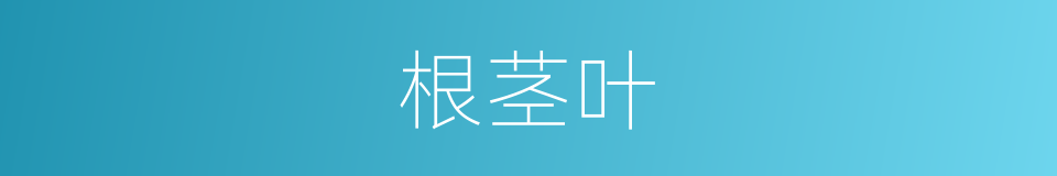 根茎叶的意思