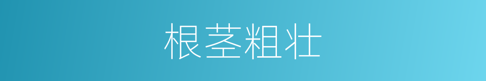 根茎粗壮的同义词