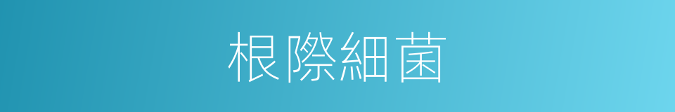 根際細菌的同義詞