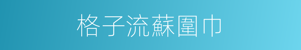 格子流蘇圍巾的同義詞