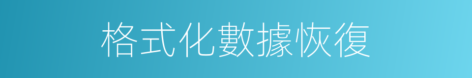 格式化數據恢復的同義詞