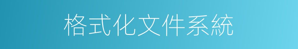 格式化文件系統的同義詞