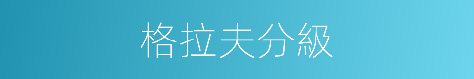 格拉夫分級的同義詞