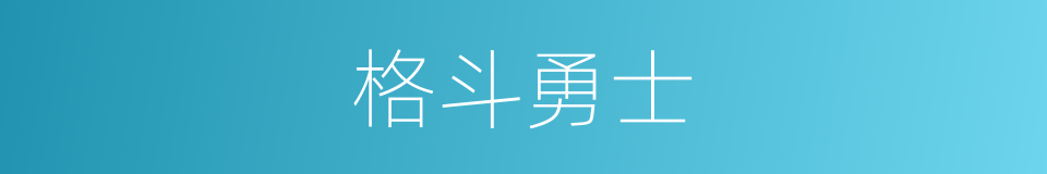 格斗勇士的同义词