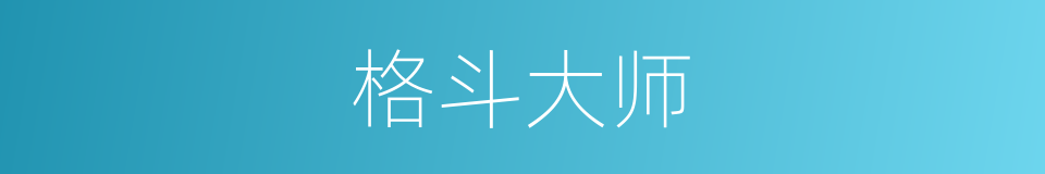 格斗大师的同义词