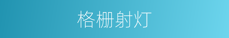 格栅射灯的同义词