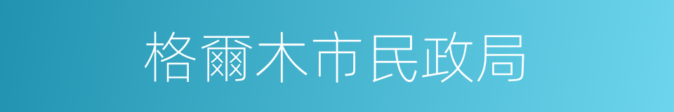 格爾木市民政局的同義詞