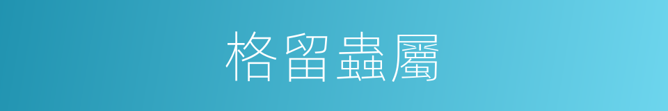格留蟲屬的同義詞
