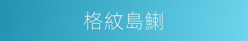 格紋島鯻的同義詞