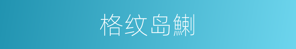 格纹岛鯻的同义词