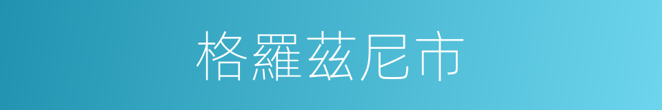格羅茲尼市的同義詞
