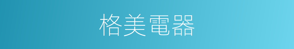 格美電器的同義詞