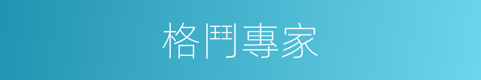 格鬥專家的同義詞