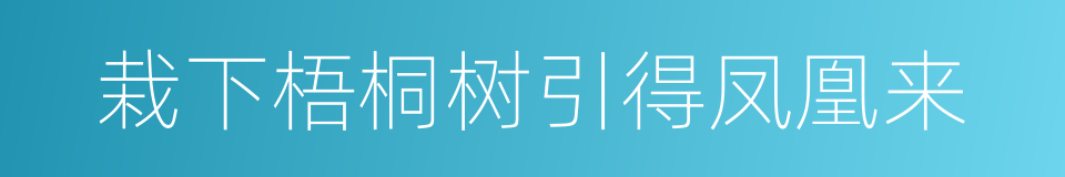栽下梧桐树引得凤凰来的同义词