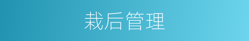 栽后管理的同义词