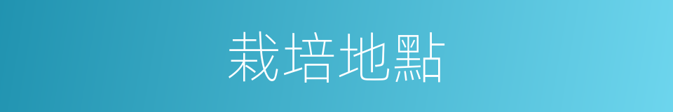 栽培地點的同義詞