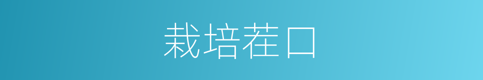 栽培茬口的同义词