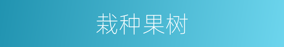 栽种果树的同义词