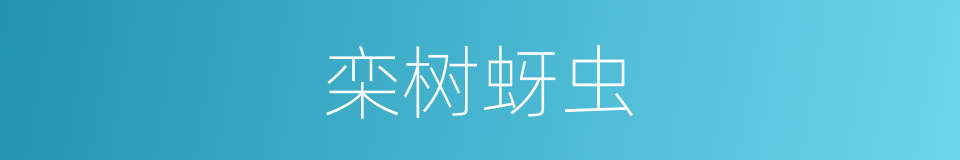 栾树蚜虫的同义词