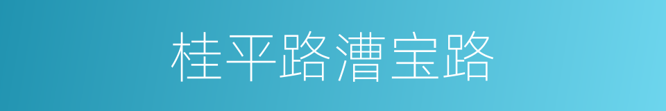 桂平路漕宝路的同义词