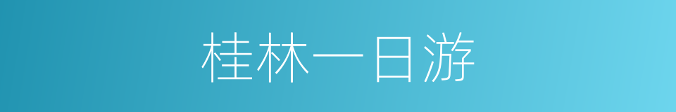 桂林一日游的同义词