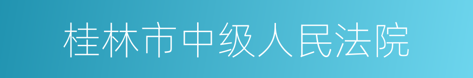 桂林市中级人民法院的同义词