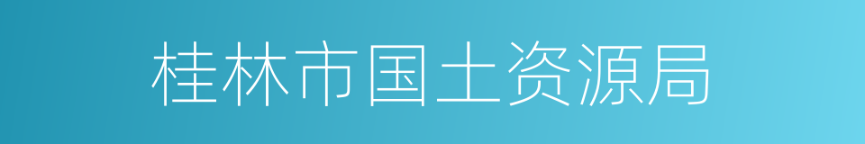 桂林市国土资源局的同义词