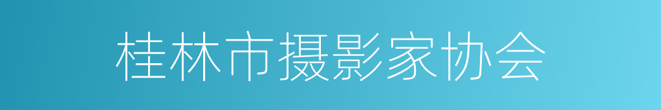 桂林市摄影家协会的同义词