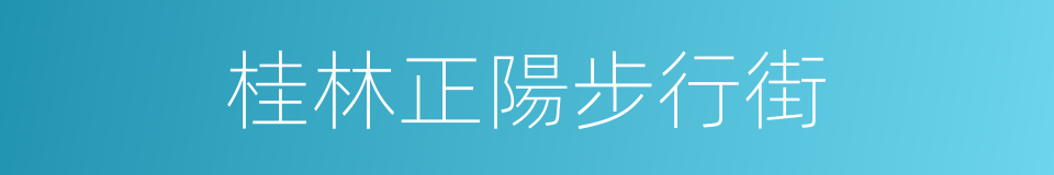 桂林正陽步行街的同義詞