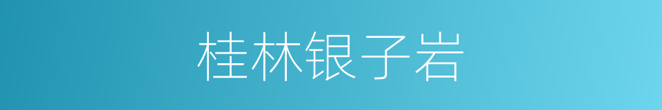 桂林银子岩的同义词