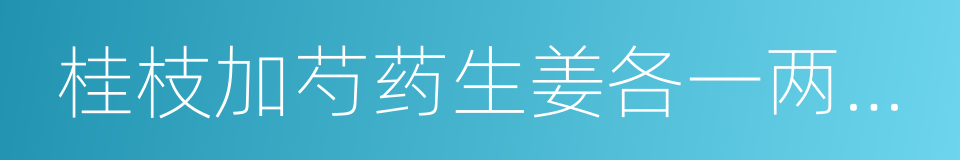 桂枝加芍药生姜各一两人参三两新加汤的同义词