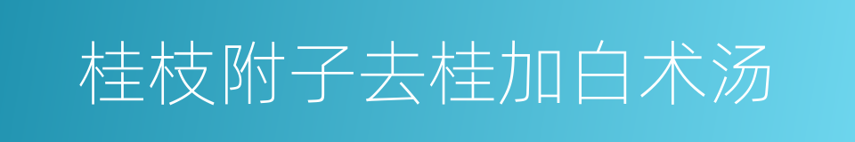 桂枝附子去桂加白术汤的同义词