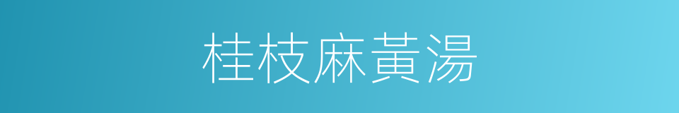 桂枝麻黃湯的同義詞