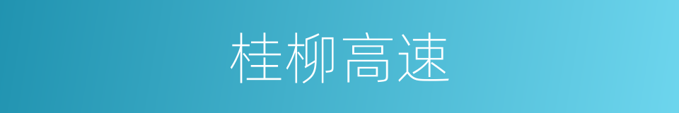 桂柳高速的同义词