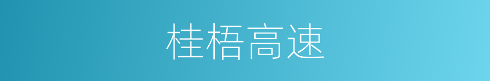 桂梧高速的同义词