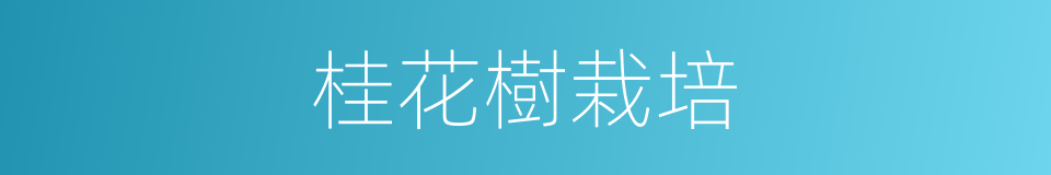 桂花樹栽培的同義詞