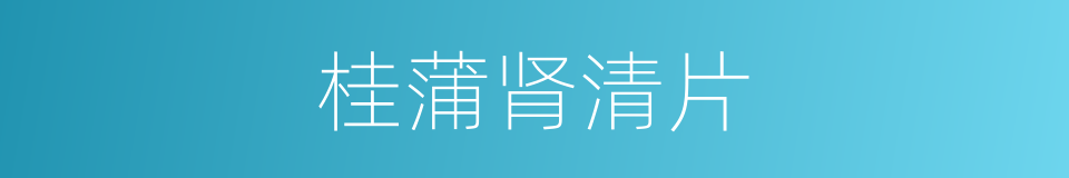 桂蒲肾清片的同义词