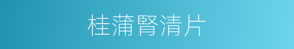 桂蒲腎清片的同義詞