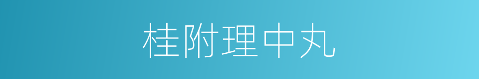 桂附理中丸的同义词