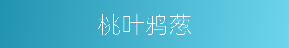 桃叶鸦葱的同义词