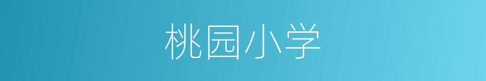 桃园小学的同义词