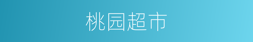 桃园超市的同义词