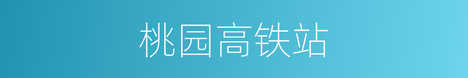 桃园高铁站的同义词