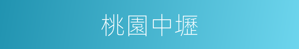 桃園中壢的同義詞