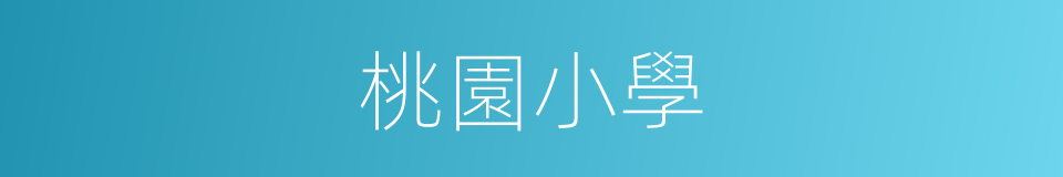 桃園小學的同義詞