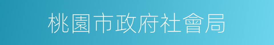 桃園市政府社會局的同義詞