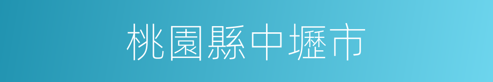桃園縣中壢市的同義詞
