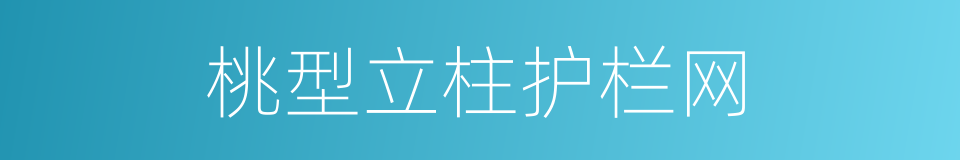 桃型立柱护栏网的同义词