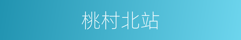 桃村北站的同义词