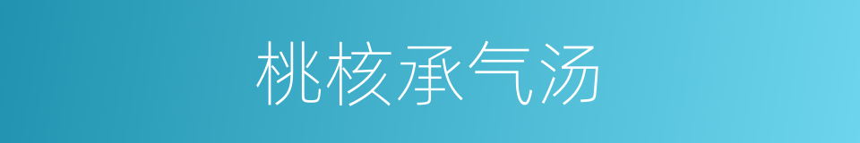 桃核承气汤的同义词